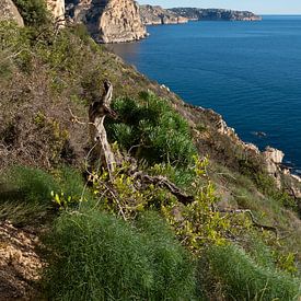 Meerblick und Klippen in Benitachell von Adriana Mueller