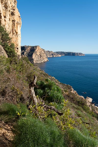 Meerblick und Klippen in Benitachell von Adriana Mueller