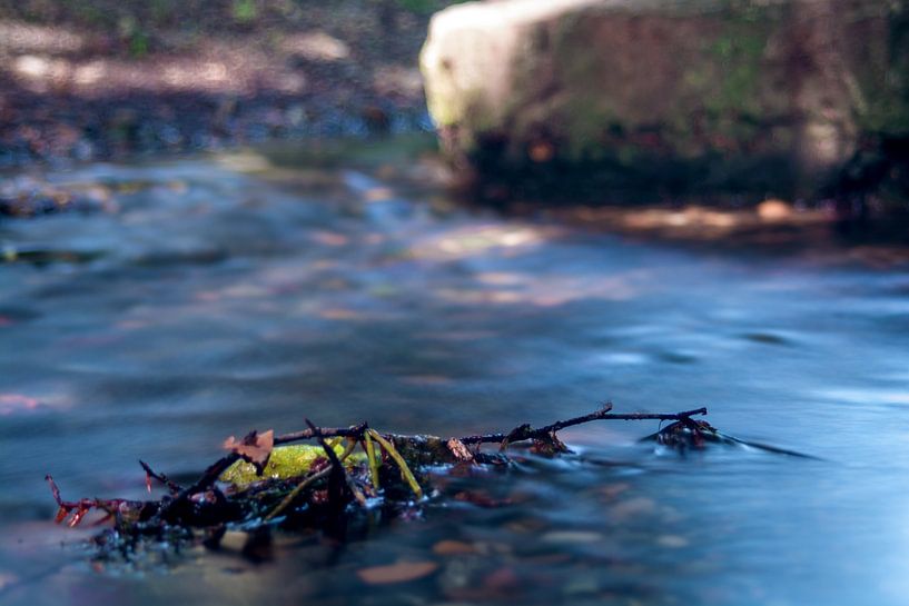 The brook von Photoart-Naegele