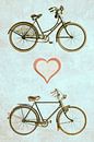Bicycle Love par Martin Bergsma Aperçu