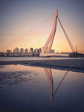 Erasmusbrug tijdens zonsondergang, mast weerspiegeld in de plas op de grond van Jolanda Aalbers