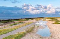 Moddergat sur la mer des Wadden, Frise, Pays-Bas