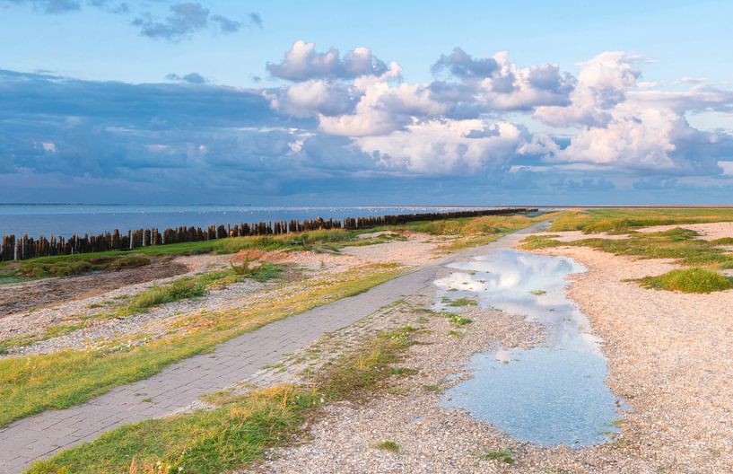 Moddergat sur la mer des Wadden, Frise, Pays-Bas par Elisabeth Aardema