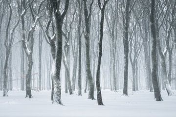 Tanzende Bäume im Schnee | Naturfotografie | Wald auf der Veluwe von Marijn Alons