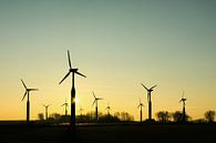 Groep windturbines by Harry Wedzinga thumbnail