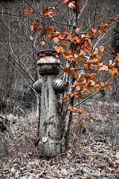 Feuerhydrant auf einem verlassenen Industriegelände