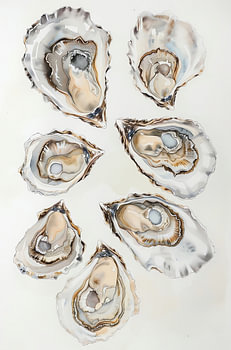Oyster-collectie II