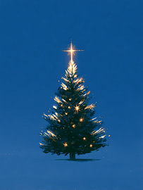 Minimalistischer Weihnachtsbaum bei Nacht von Mosaic Dialogue