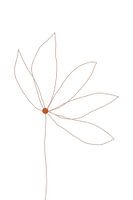 Minimale bloem, Anastasia Sawall