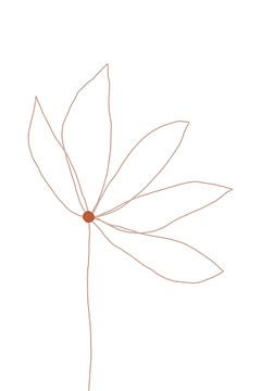 Minimale bloem, Anastasia Sawall