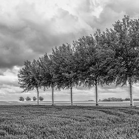 Le paysage des polders sur Reint van Wijk