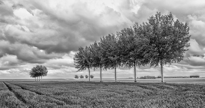 Polder landscape by Reint van Wijk