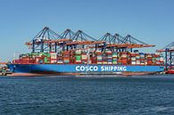 Cosco Shipping Aries container ship. by Jaap van den Berg thumbnail