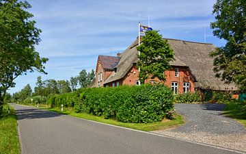 Idyllic North Frisian Countryside by Gisela Scheffbuch