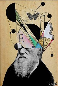 Evolution für Anfänger von LOUI JOVER