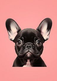 Cute black Frenchie puppy by haroulita