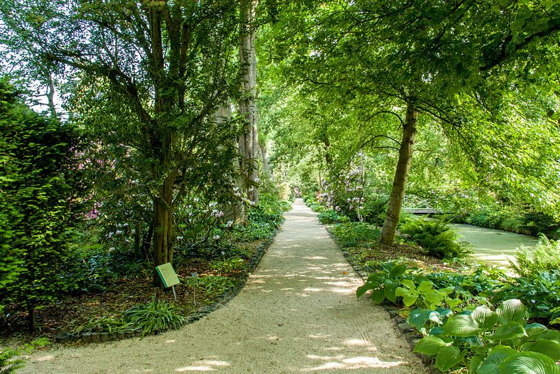 Rotterdam-Botanische Tuinen Trompenburg 05 von Hans Blommestijn