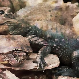Krokodil en schildpad van Pim Klabbers