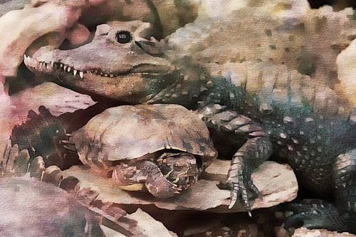 crocodile and turtle by Pim Klabbers