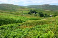Isolated in the Southern Uplands by Gisela Scheffbuch thumbnail
