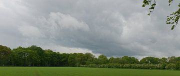 Forest walls and a meadow in the Reest valley. by Wim vd Neut