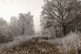 Disused railway line near Schwackenreute - District of Constance by BlattArt - Christine Horn