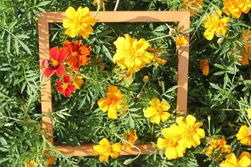 Bloemen natuur schilderij