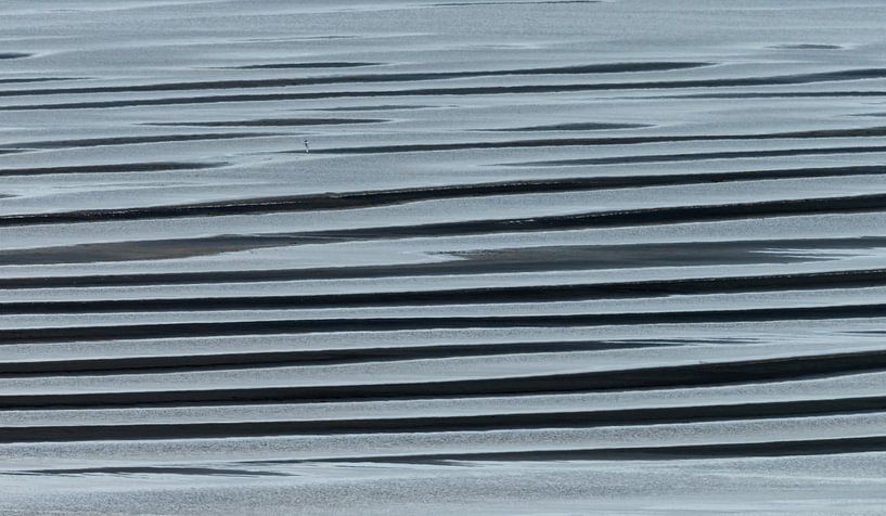 Linien am schwarzen Strand von Island von Menno Schaefer