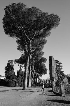 Silhouet Fotografie Zwart-wit Forum Romanum Rome Italië van Martijn Jebbink Fotografie
