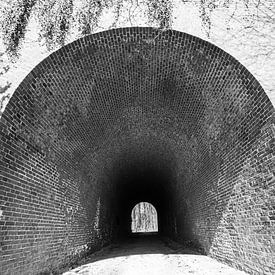 Tunnel Vision van Roger Hagelstein