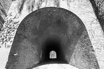 Tunnel Vision van Roger Hagelstein