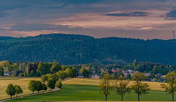 Wald Blumen Feld Landschaft Erzgebirge Städte Dörfer von Johnny Flash