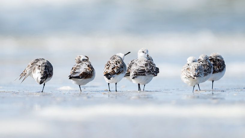In balance by Richard Kalkman fotografie