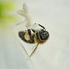 Honeybee Feating on White Moonflower 1005 by Iris Holzer Richardson