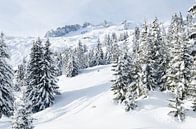 Winter in Zwitserland (Bettmeralp) van Johan van Veelen thumbnail