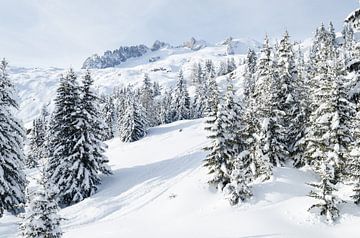 Winter in Zwitserland (Bettmeralp) van Johan van Veelen