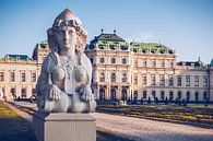 Wien - Schloss Belvedere von Alexander Voss Miniaturansicht