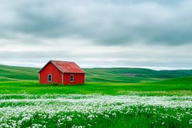 Red House Meadow by Poster Art Shop