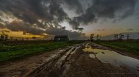 Sunset the Mennonite