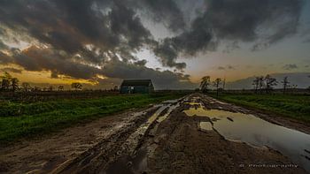 Sonnenuntergang des Mennoniten