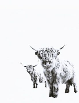 Highland Gezellen van Monika Strigel
