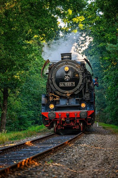 Steam train between Beekbergen and Loenen by Leon Okkenburg