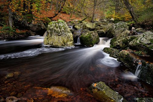 Herfst in de Ardennen - Wandelen langs de Hoegne