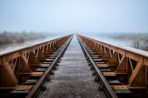 Pont ferroviaire de Marsh Pits dans la brume
