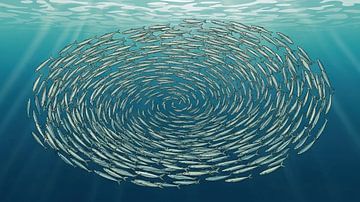 Fischschwarm Spirale Unterwasser Illustration