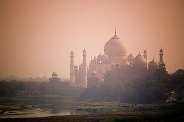 Taj Mahal - Morning Light van Nico van der Vorm