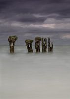 Immer noch stark im Kommen