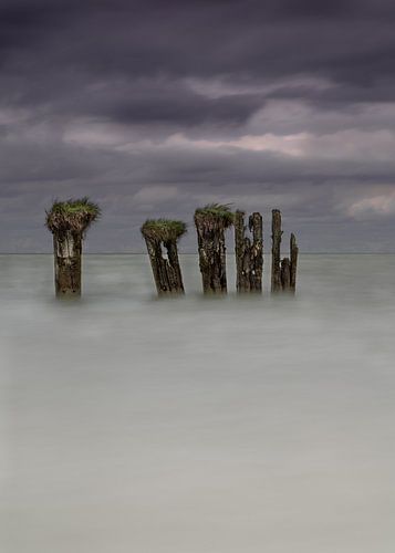 Immer noch stark im Kommen