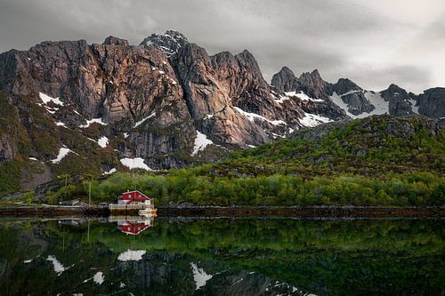 Lofoten Reflection by Martijn Smeets