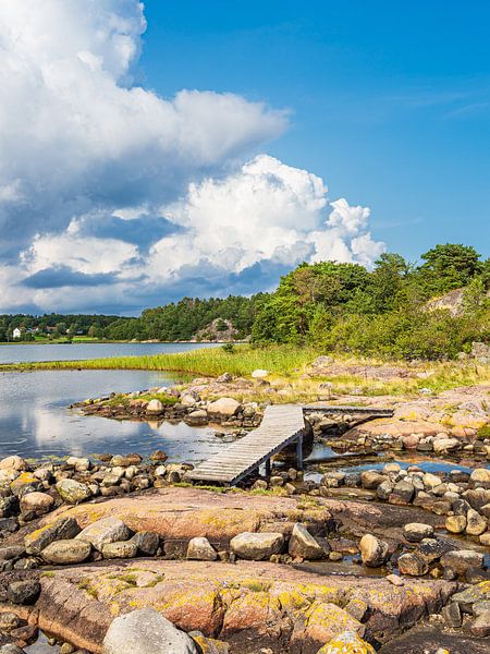 Landscape in the Bøkeskogen nature reserve in Norway by Rico Ködder